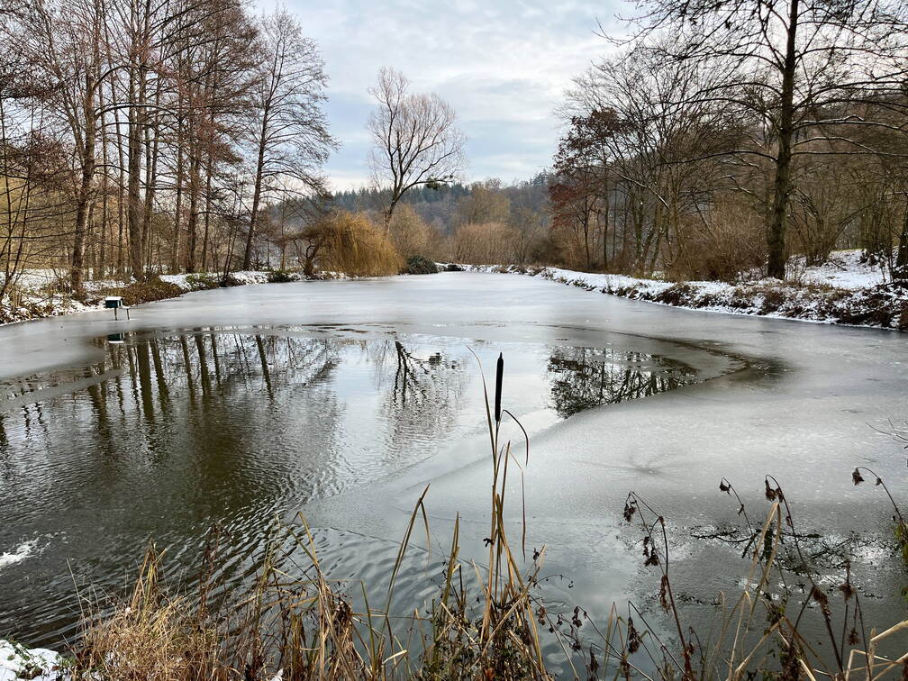 22-12-19 13-02-53 3632